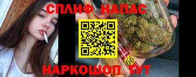 прущие грибы Рыбинск