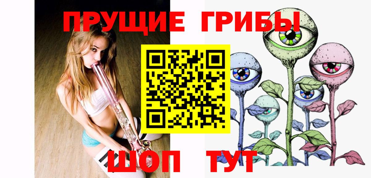 Псилоцибиновые грибы Cubensis  купить наркотики сайты  Вход с VPN  Новочебоксарск  Псилоцибиновые грибы мицелий 